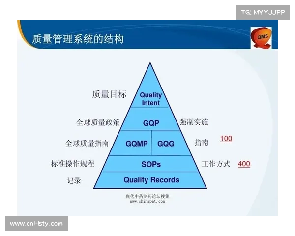 质量控制体系逐步完善，保障内容输出专业稳定